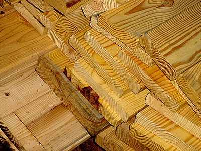dsc01913.JPG